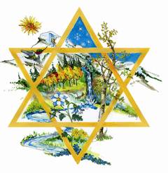 Banner Image for Backpack Shabbat-Lay Led Shabbat Service
