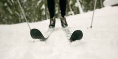 Banner Image for Cross Country Ski or Snowshoe at Boreas Pass 